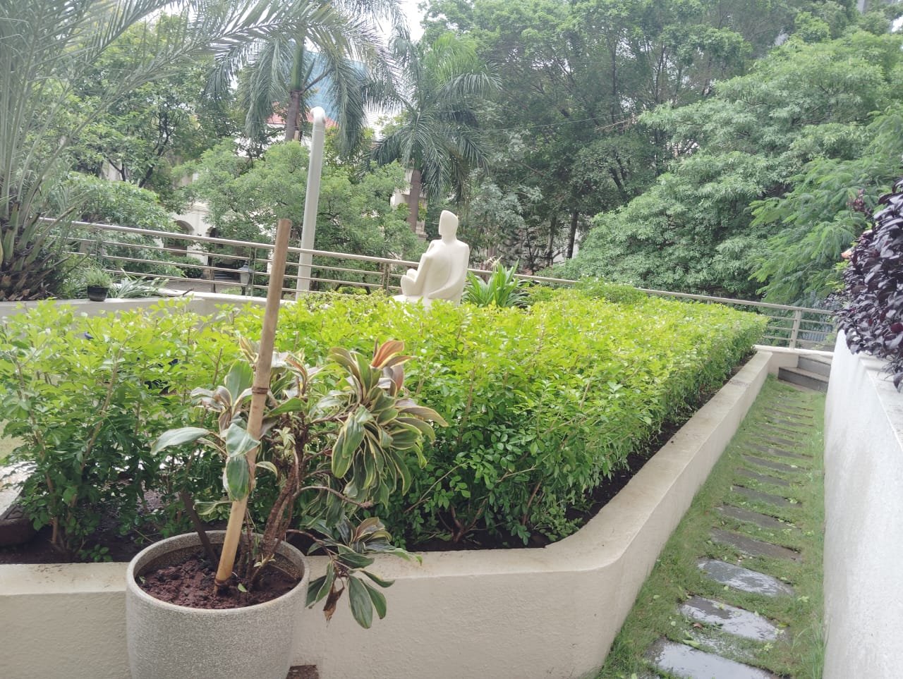 Communal Garden